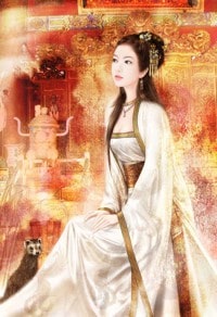 医品傲妻